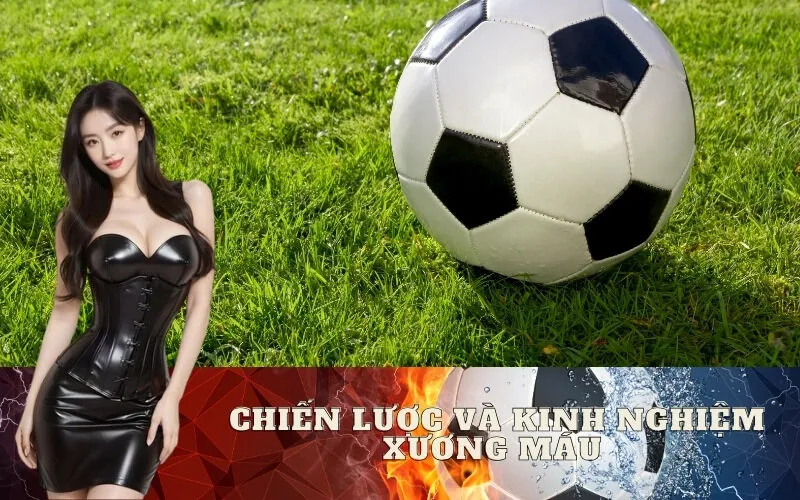 Chiến lược và kinh nghiệm xương máu để tránh bẫy kèo hiệu quả