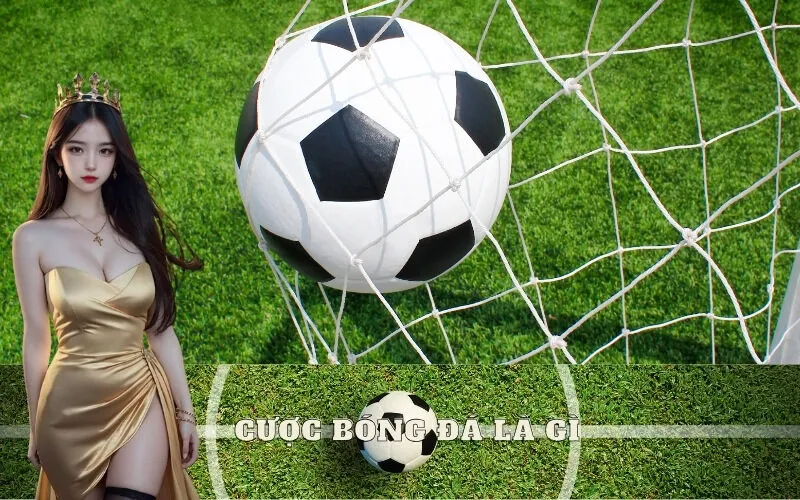 Cược bóng đá là gì? Giải thích cho người mới bắt đầu