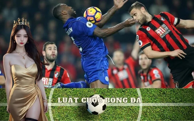 Luật cược bóng đá cơ bản bạn cần nắm vững trước khi chơi