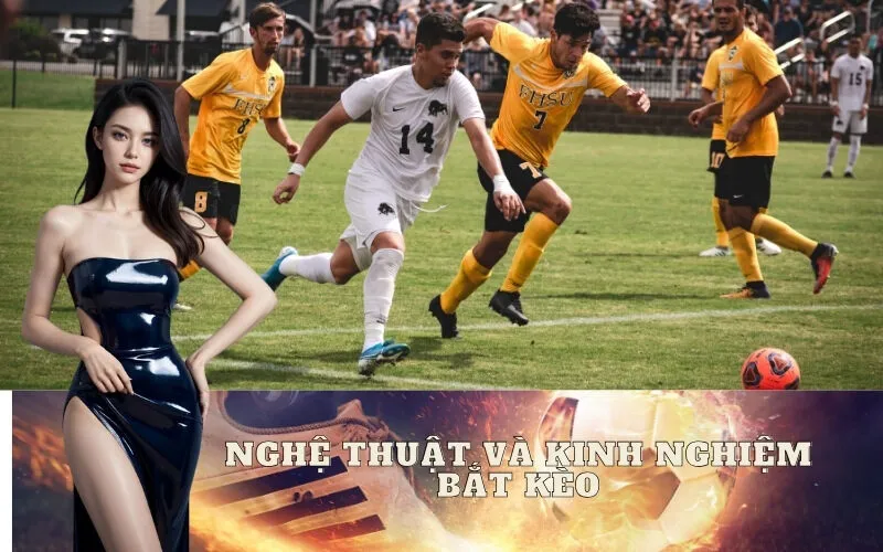 Nghệ Thuật và Kinh Nghiệm Bắt Kèo