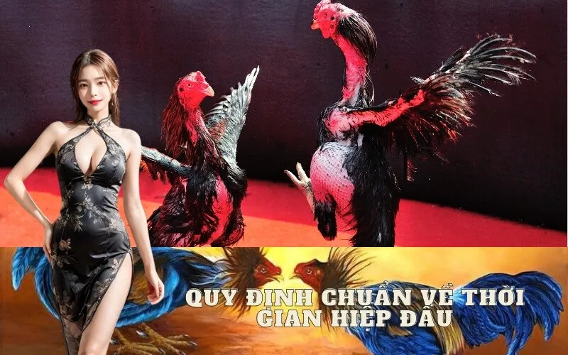 Quy Định Chuẩn Về Thời Gian Hiệp Đấu (Hồ)